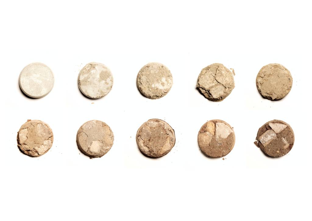 The Chicory Factory: A Guild for Coffee&nbsp;Lovers